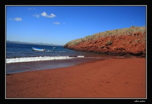 isla-rabida-galapagos-i-86552149-ae33-461c-8307-41d84989ff8b